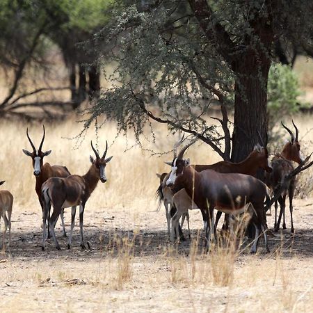 Otjisazu Guest Farm Villa Khorusepa Dış mekan fotoğraf